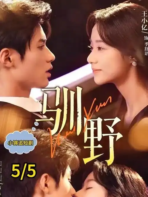 我的阿勒泰 详情海报